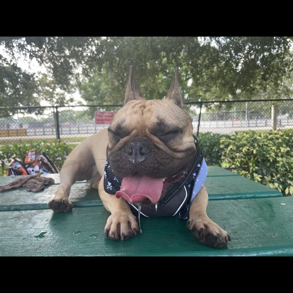 Meet your Posher, Jessica - Picture 4 of 14